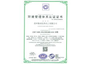 公司荣誉